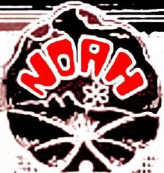 logo Noah (USA)